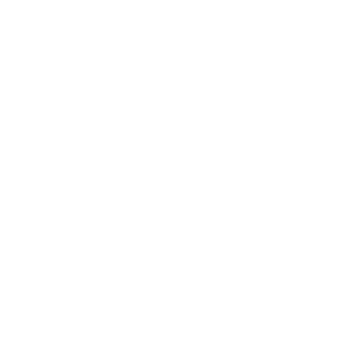 Single Issue