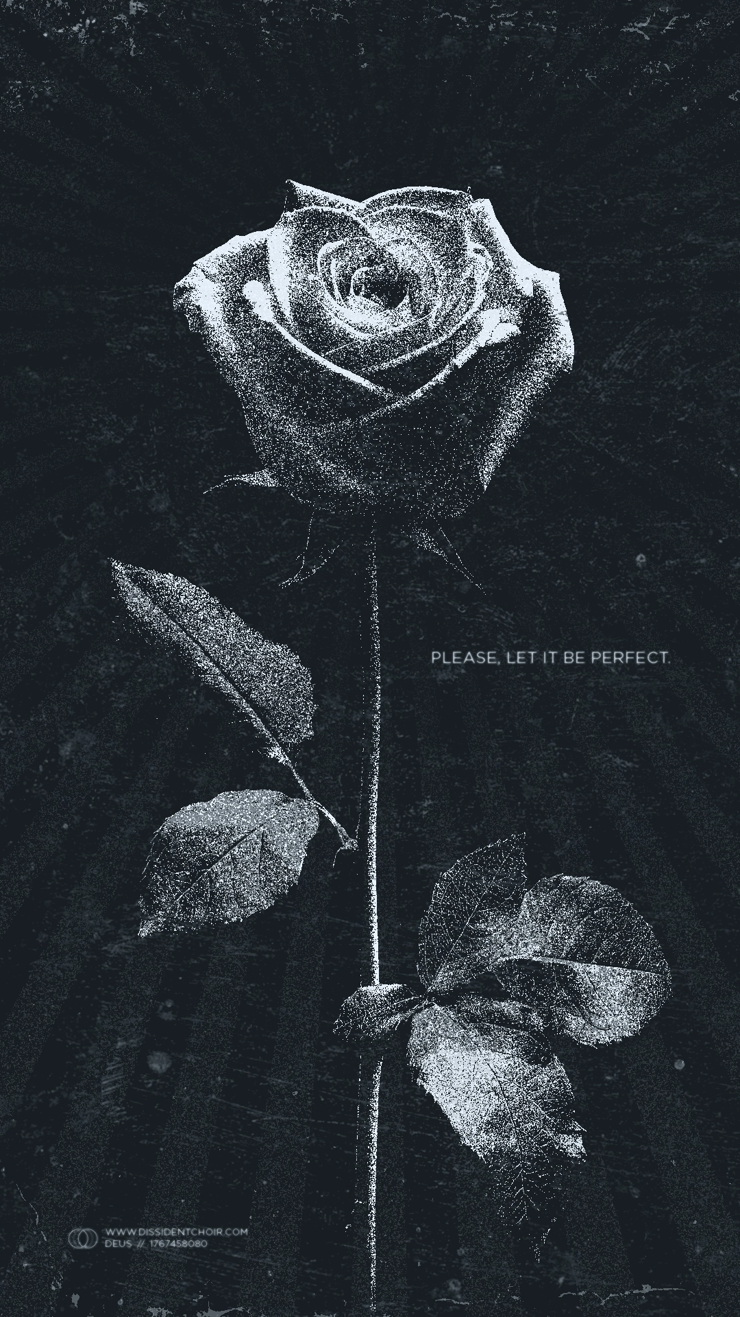 Please, Let it be perfect.