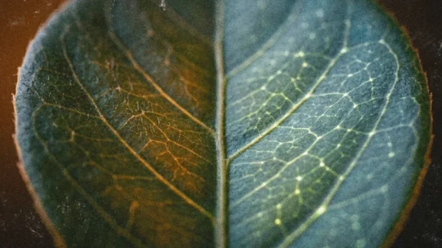 What Makes a Brand Resilient When Everything Changes